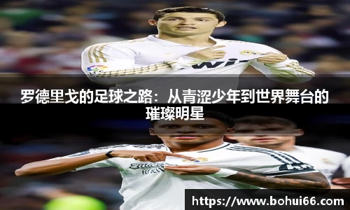 必一bsports体育
